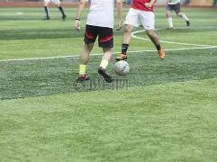 意大利迎战,爱沙尼亚,欧预选赛事,皇冠体育平台,皇冠体育官方网站,皇冠体育登录入口,皇冠体育app下载