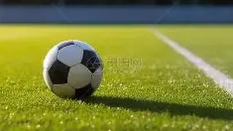 皇冠体育 产品 084811 98d